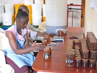 Honey processing in Pokot